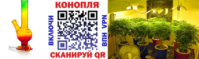 Бошки Шишки план  Полярный 